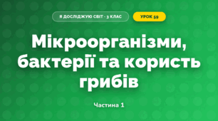 Мікроорганізми, бактерії та користь грибів (3 клас, Я досліджую світ, Грущинська І.В., Хитра З.М.)