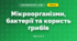 Мікроорганізми, бактерії та користь грибів (3 клас, Я досліджую світ, Грущинська І.В., Хитра З.М.)