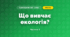 Що вивчає екологія? (3 клас, Я досліджую світ, Грущинська І.В., Хитра З.М.)