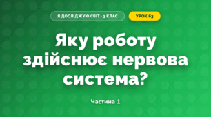 Яку роботу здійснює нервова система? (3 клас, Я досліджую світ, Грущинська І.В., Хитра З.М.)