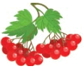 090287ov-e515-118x101.png