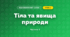 Тіла та явища природи (3 клас, Я досліджую світ, Жаркова)
