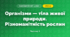 Організми — тіла живої природи. Різноманітність рослин (3 клас, Я досліджую світ, Жаркова)