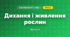 Дихання і живлення рослин (3 клас, Я досліджую світ, Жаркова)