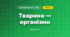 Тварини — організми (3 клас, Я досліджую світ, Жаркова)