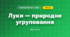 Луки — природне угруповання (3 клас, Я досліджую світ, Жаркова)