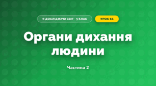 Органи дихання людини (3 клас, Я досліджую світ, Жаркова)