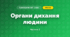 Органи дихання людини (3 клас, Я досліджую світ, Жаркова)