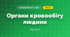 Органи кровообігу людини (3 клас, Я досліджую світ, Жаркова)