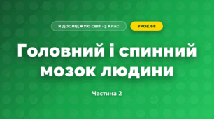 Головний і спинний мозок людини (3 клас, Я досліджую світ, Жаркова)
