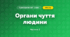Органи чуття людини (3 клас, Я досліджую світ, Жаркова)