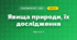 Явища природи, їх дослідження (3 клас, Я досліджую світ, Тагліна)