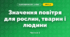 Значення повітря для рослин, тварин і людини (3 клас, Я досліджую світ, Тагліна)