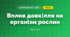 Вплив довкілля на організм рослин (3 клас, Я досліджую світ, Тагліна)