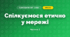 Спілкуємося етично у мережі (3 клас, Я досліджую світ, Тагліна)