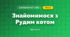 Знайомимося з Рудим котом (3 клас, Я досліджую світ, Тагліна)