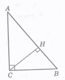 09028b3c-ab00-134x164.png