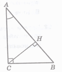 09028b3r-844c-125x144.png