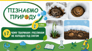 Чому тваринам і рослинам не холодно під снігом. Презентація, інфографіка, робочий аркуш