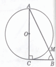 09028cb2-96ce-109x131.png