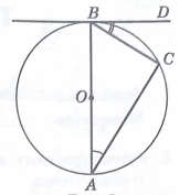 09028ch1-198d-172x177.png