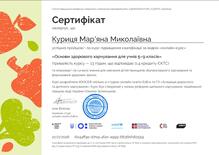  проходження онлайн-курсу «Основи здорового харчування для учнів 5–9 класів» (13 годин, 0,4 кредиту ЄКТС)