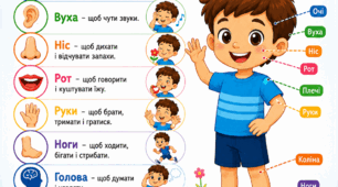 Дидактичний плакат «Вивчаємо частини тіла»