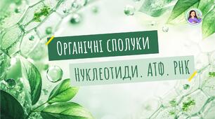 Нуклеїнові кислоти. АТФ. РНК