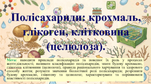 Природничі науки. 11 клас. Матеріали до уроку: Полісахариди: крохмаль, глікоген, клітковина (целюлоза).