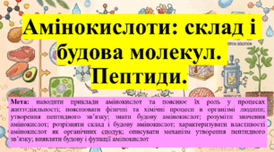 Природничі науки. 11 клас. Матеріали до уроку:  Амінокислоти: склад і будова молекул. Пептиди.