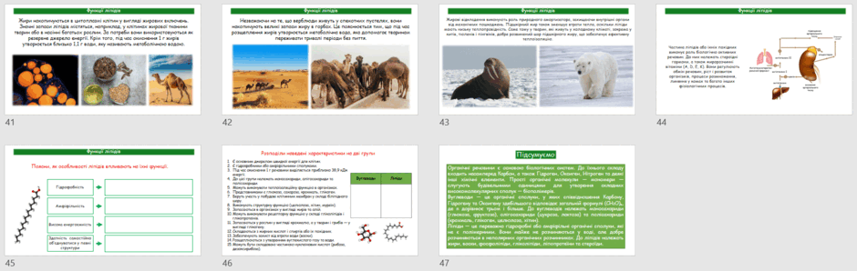 09028k04-e0d5-940x298.png