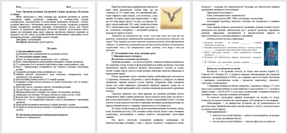 09028k09-214f-940x440.png