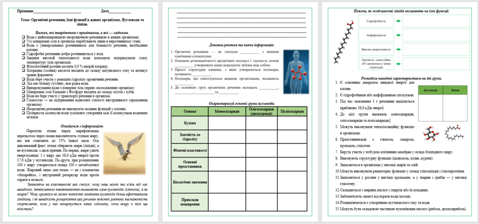 09028k0e-3319-940x441.png