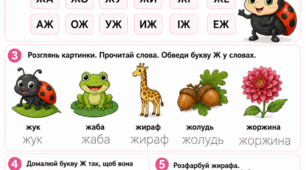 Підготовка до школи: Комплексне заняття «Вивчаємо букву Ж»