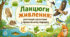 Ланцюги живлення: розташуй організми у правильному порядку