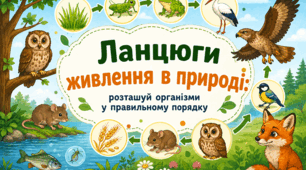Ланцюги живлення в природі: розташуй організми у правильному порядку