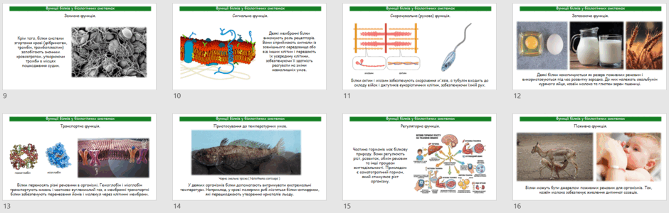 09028ok0-41ed-940x300.png