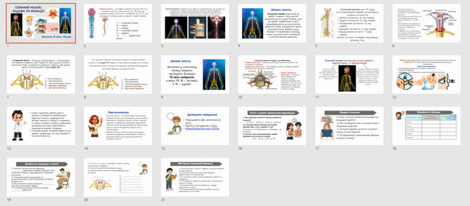 09028ply-b871-940x413.png