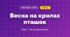 Весна на крилах пташок (4 клас, Мистецтво, Стеценко)