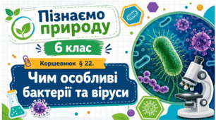 Чим особливі бактерії та віруси. Презентація, інфографіка, робочий аркуш