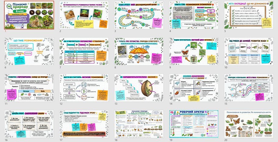 09028qq4-5149-911x465.png