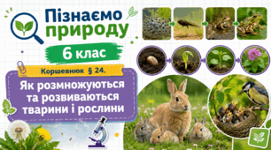 Як розмножуються та розвиваються тварини і рослини. Презентація, інфографіка, робочий аркуш