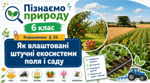 Як влаштовані штучні екосистеми поля і саду. Презентація, інфографіка, робочий аркуш