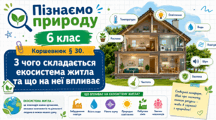 З чого складається екосистема житла та що на неї впливає. Презентація, інфографіка, робочий аркуш