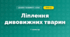 Ліплення дивовижних тварин (4 клас, Дизайн і технології, Агєєва)