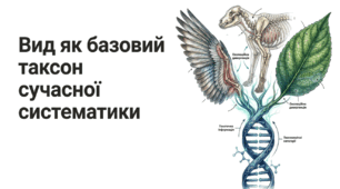 Презентація "Вид як базовий таксон сучасної систематики" 10 клас (проф)
