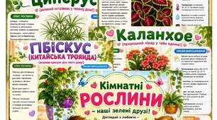 Паспорт рослин