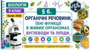 Органічні речовини, їхні функції в живих організмах. Вуглеводи та ліпіди. Презентація, інфографіка, робочий аркуш