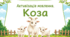 Активізація мовлення. Коза