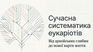 Презентація "Сучасна систематика еукаріотів" 10 клас (проф)